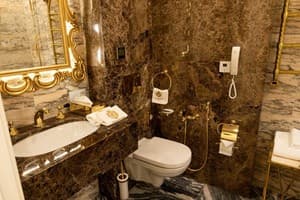 Отель Royal Palace Luxury Hotel & SPA. Люкс двухместный №202 11