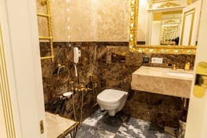 Отель Royal Palace Luxury Hotel & SPA. Люкс двухместный №210 12