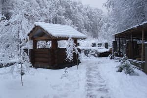 Шале Ведмеже 8