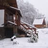 Шале Ведмеже 12-13/19