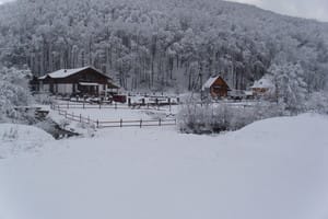 Шале Ведмеже 6