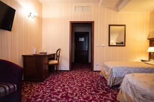 Санаторий Solva Resort Medical & SPA. Стандарт двухместный мансард twin 5