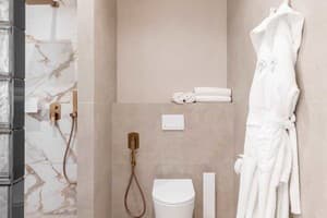 Гостинично-ресторанный комплекс Spatium Medical & Wellness Hotel. Делюкс трехместный  9