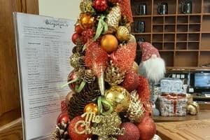 Срібний Водограй 7