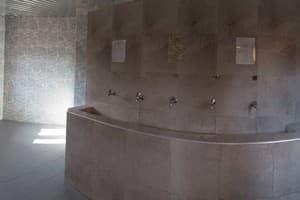 Срібний Водограй 19