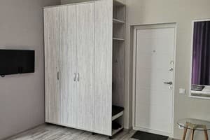 Студія з ванною в центрі Олександрівського району 4