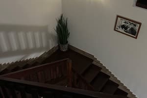 У Доминикана 11