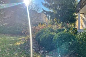 У Роксолани 3