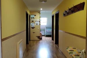 У Ярослава 2