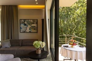 Санаторий Verkhovyna Resort Medical & Wellness. Люкс двухместный Верховина Делюкс 9