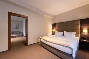 Санаторий Verkhovyna Resort Medical & Wellness. Семейный двухместный полулюкс 5