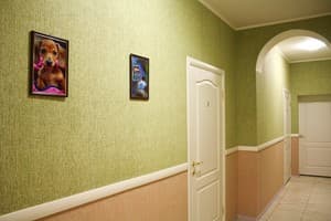 Весела Бджілка 4