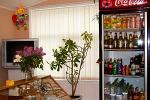 Весела Бджілка 6