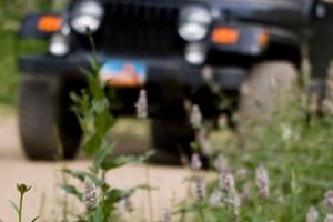 Вилла Терраса 16