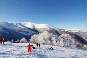 VitaPark Поляна 26