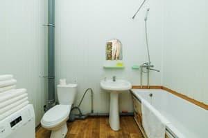 Яскраві квіти. Alex Apartments. Безконтактне заселення 24/7 3