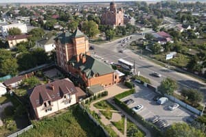 Золотий лев 1