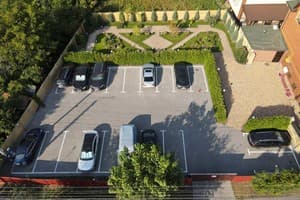 Золотий лев 9