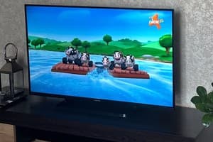 Zp apartments of Vladimir Ukrainets, 21 2