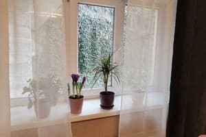 в центре города Скала 9