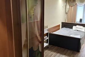 возле Березового сквера (обл. больница и госпиталь). Alex Apartments 5