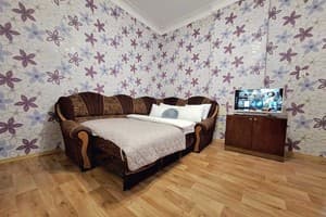Квартира возле Березового сквера (обл. больница и госпиталь). Alex Apartments. Апартаменты двухместный  5